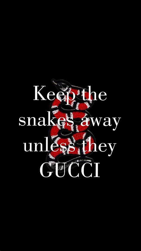 keep the snakes away unless they gucci buy|Olivia Wong .